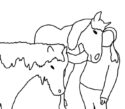 EquiAkademie